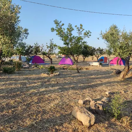 Aree Tende Presso La Casa In Campagna Di Ottavia