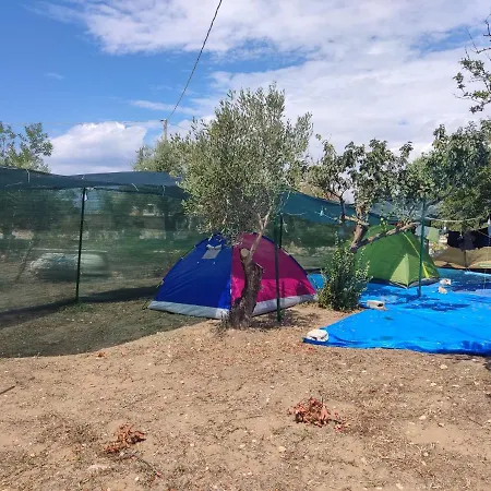 Aree Tende Presso La Casa In Campagna Di Ottavia Campsite Alezio
